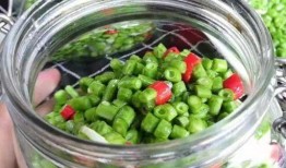 酸豆角爆料视频,揭秘幕后真相与惊人内幕